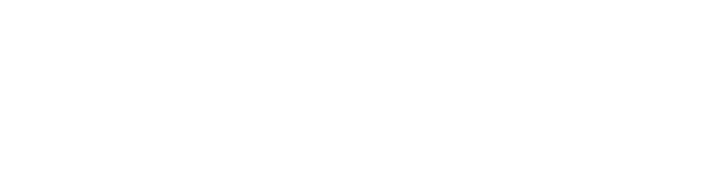 NanoDefense pro Logo